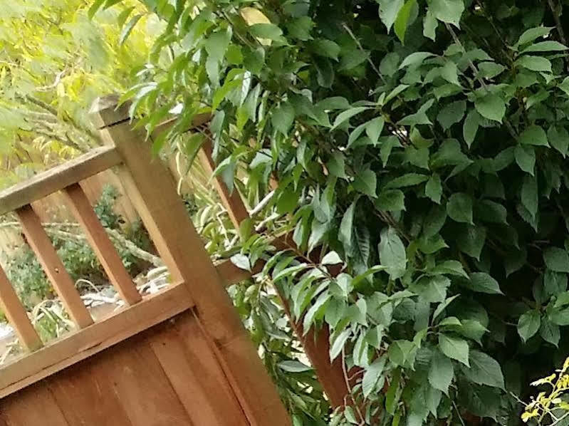 Whangarei Holiday Houses エクステリア 写真